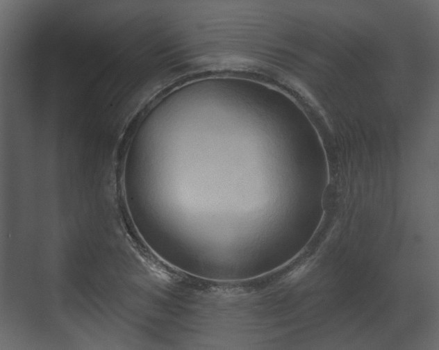 X0000070160978200605301255