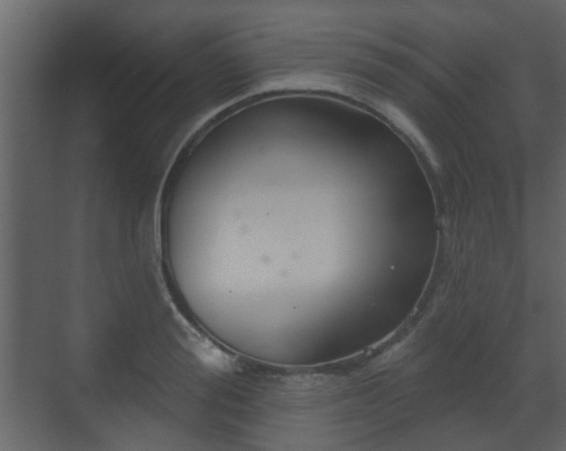 X0000070160988200605301255