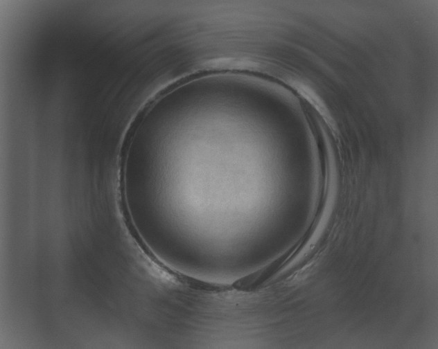 X0000070160992200605301255
