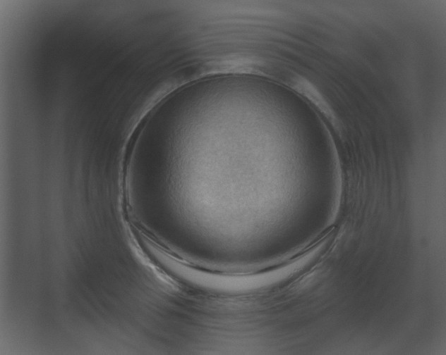 X0000070160994200605301255