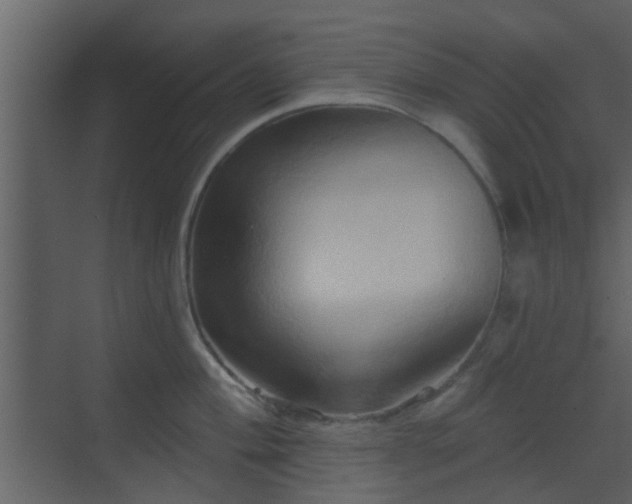 X0000070161004200605301255