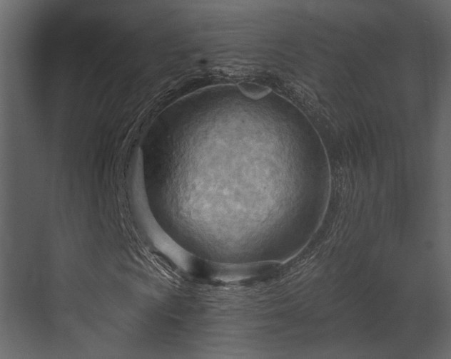X0000070161009200605301254
