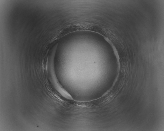 X0000070161010200605301254