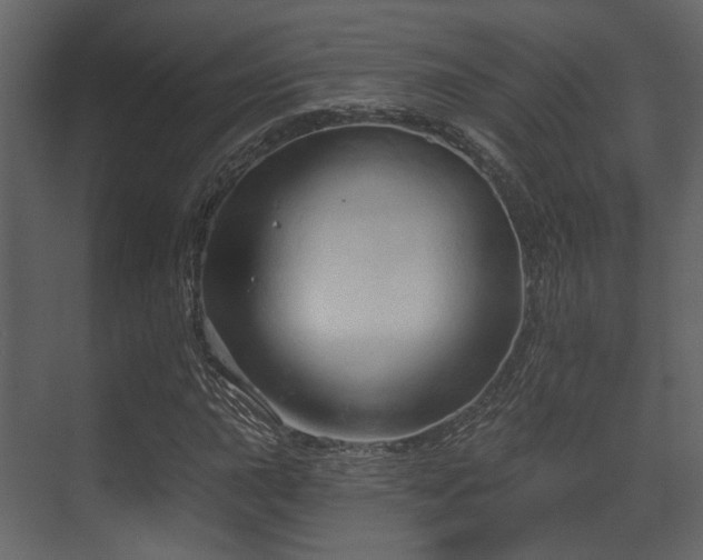 X0000070161015200605301254