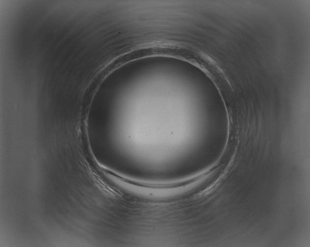 X0000070161017200605301254