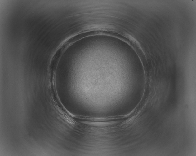 X0000070161019200605301254