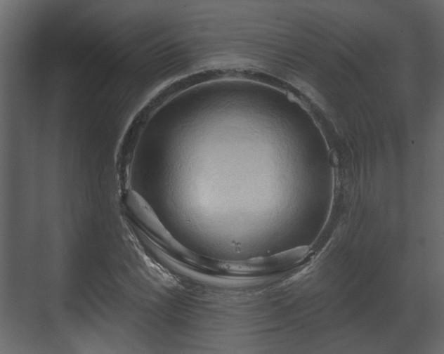 X0000070161022200605301254