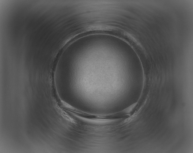 X0000070161025200605301254