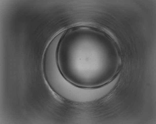 X0000070161050200605301254