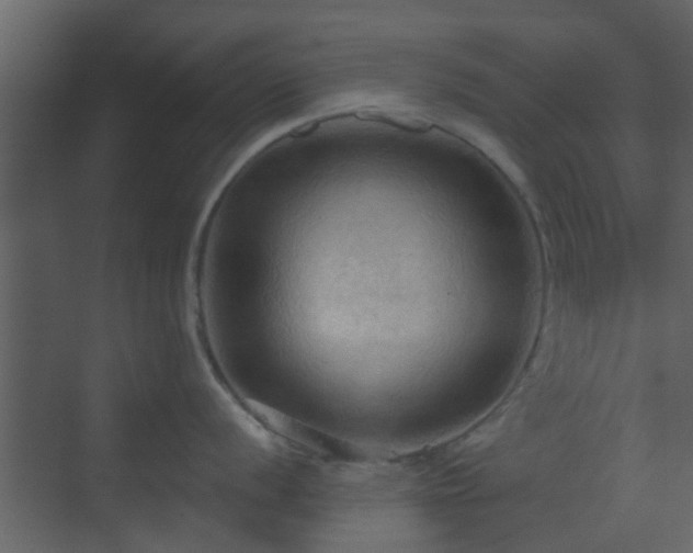 X0000070161056200605301254