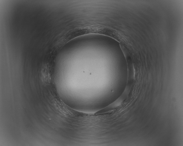 X0000070161058200605301254