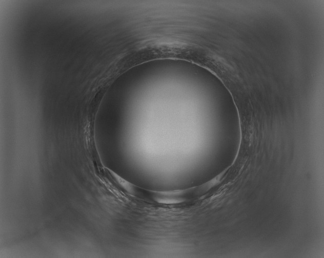 X0000070161061200605301254