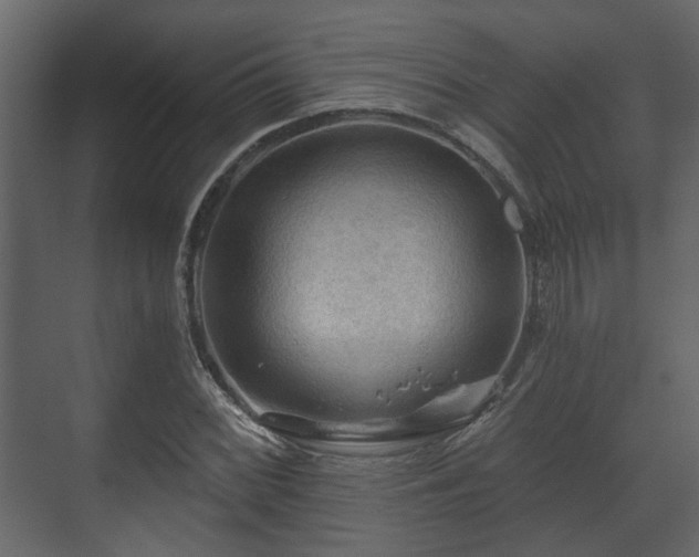 X0000070161068200605301253