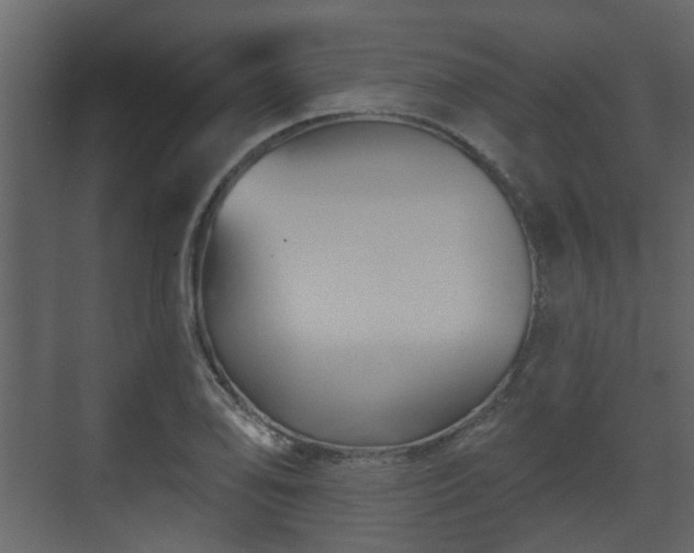 X0000070161078200605301253