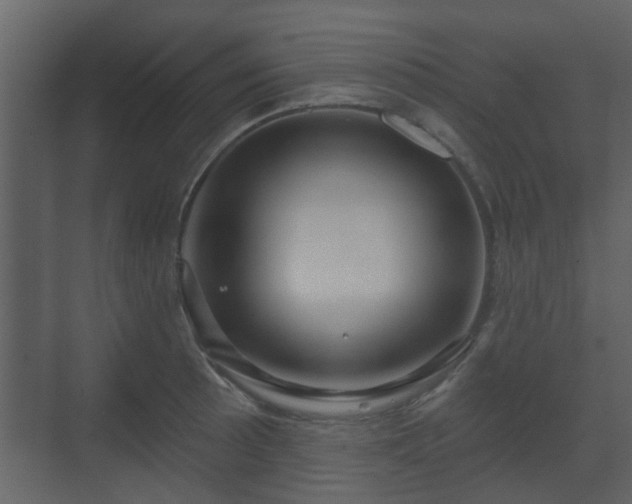 X0000070161089200605301253