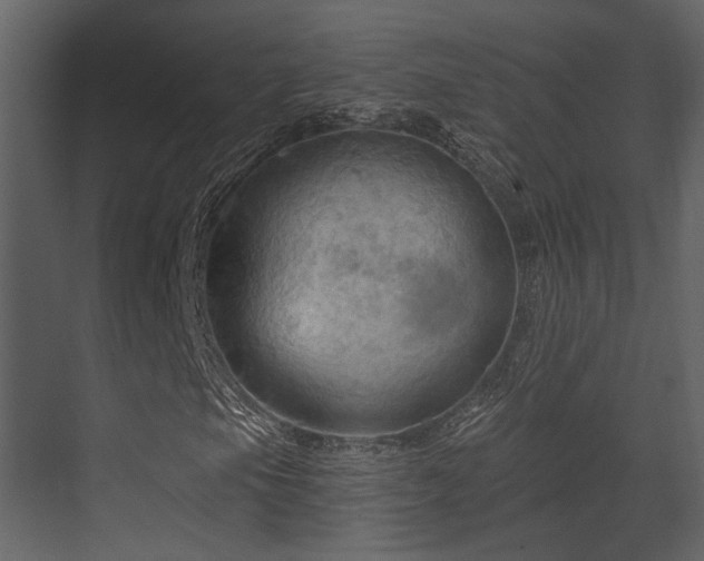X0000070161105200605301252