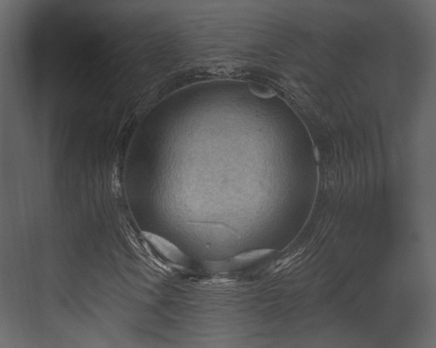 X0000070161106200605301252