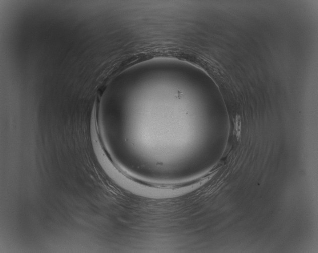 X0000070161107200605301252