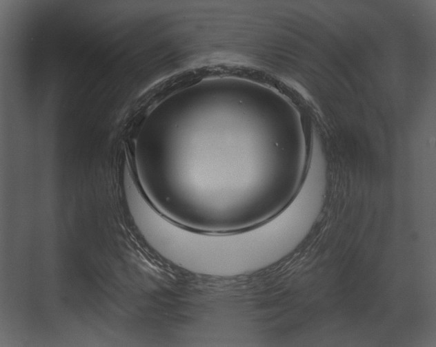 X0000070161112200605301252