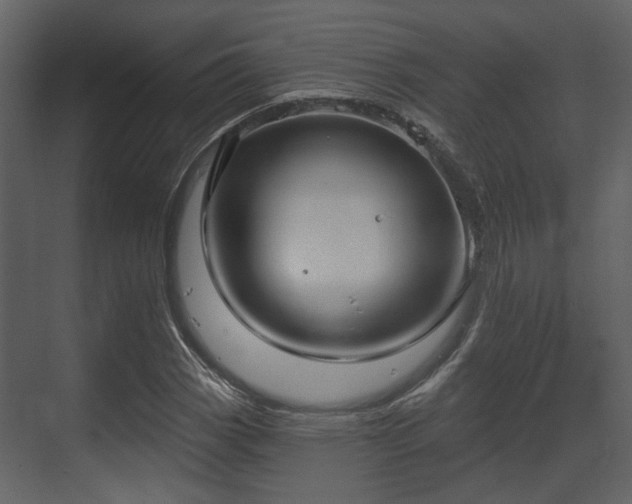 X0000070161113200605301252