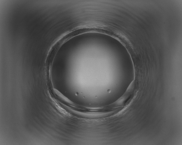 X0000070161114200605301252