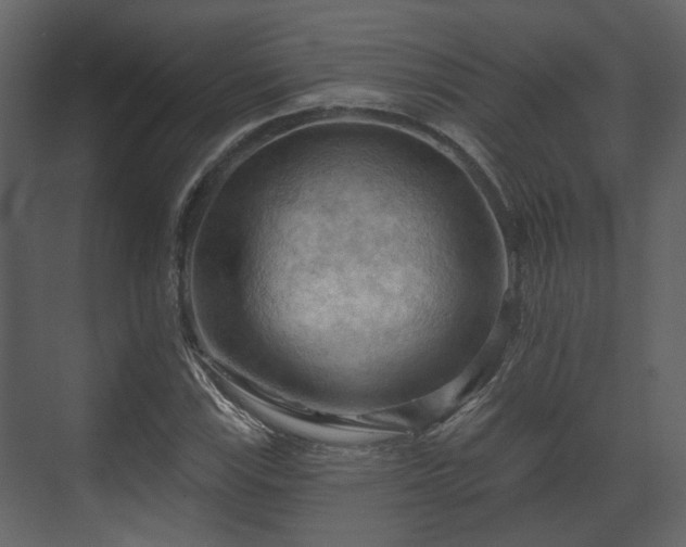 X0000070161115200605301252