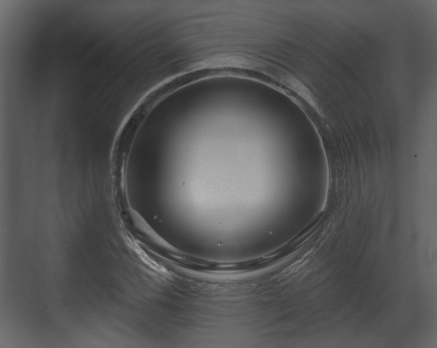 X0000070161116200605301252