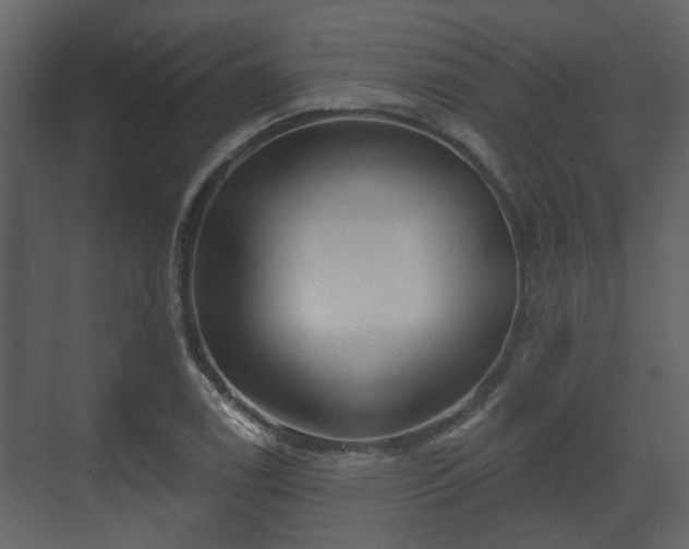 X0000070161122200605301252