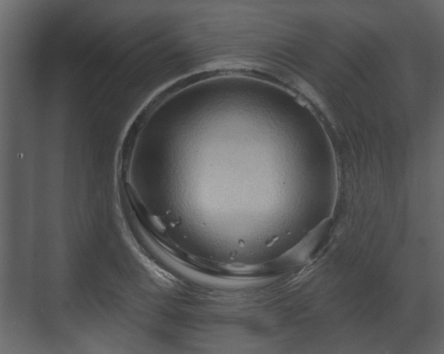 X0000070161124200605301252