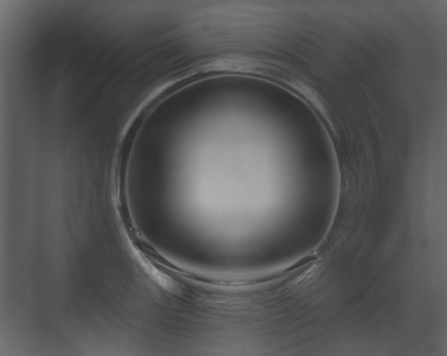X0000070161131200605301252