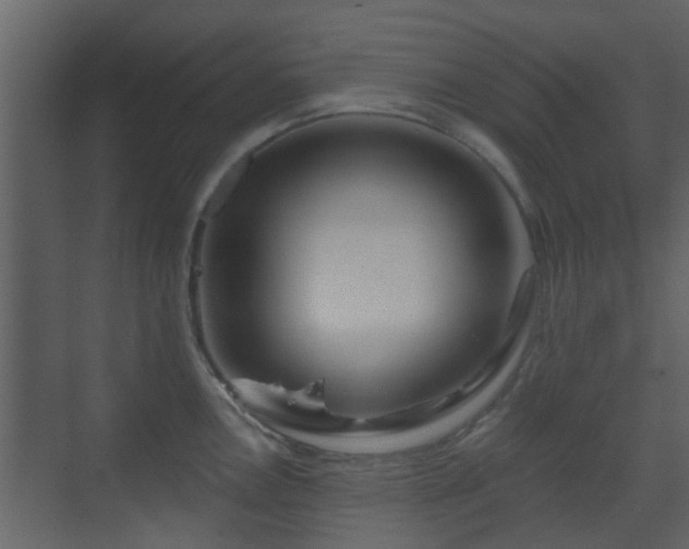 X0000070161146200605301253