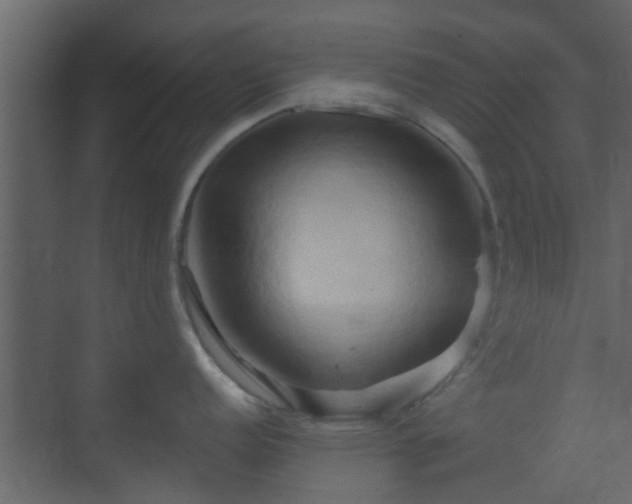 X0000070161152200605301253