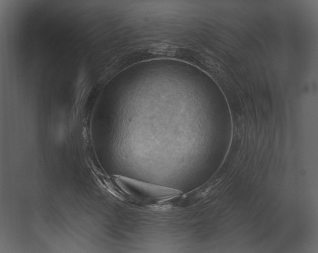 X0000070161154200605301252