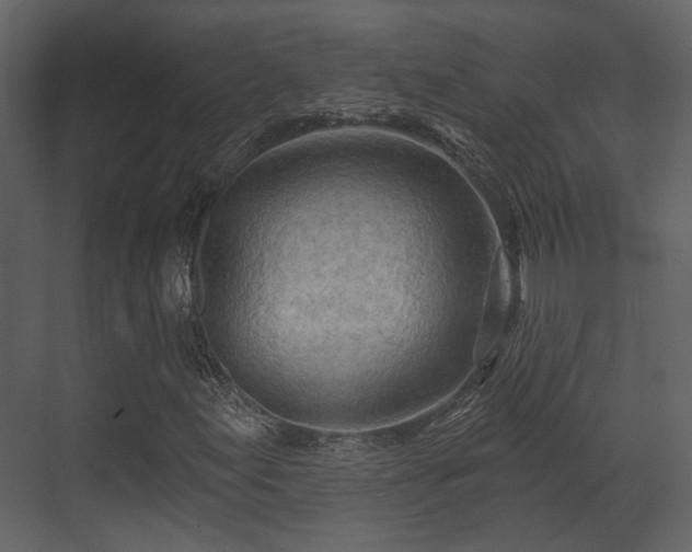 X0000070161155200605301252