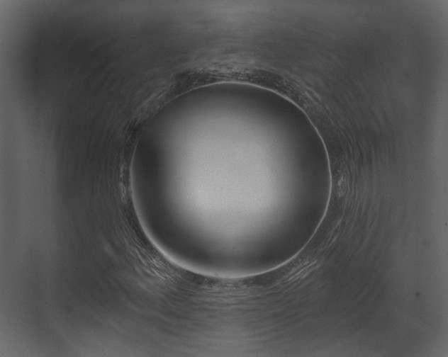 X0000070161156200605301252