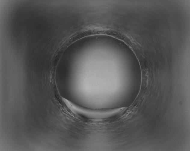 X0000070161157200605301252