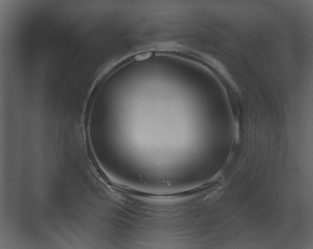 X0000070161176200605301252