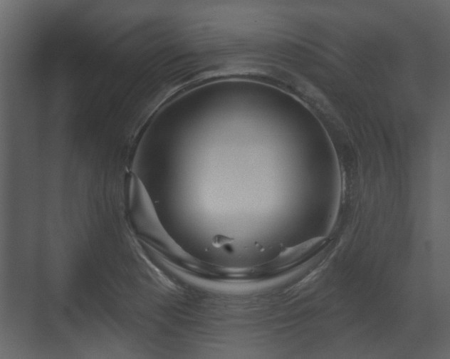 X0000070161177200605301252