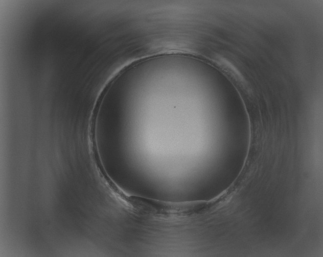 X0000070161182200605301252