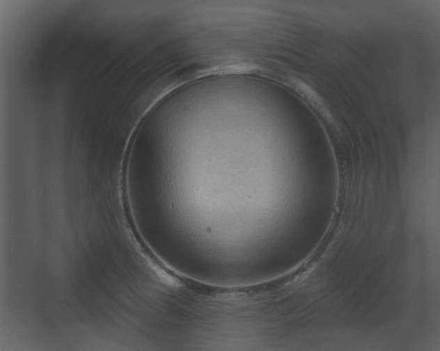 X0000070161186200605301251