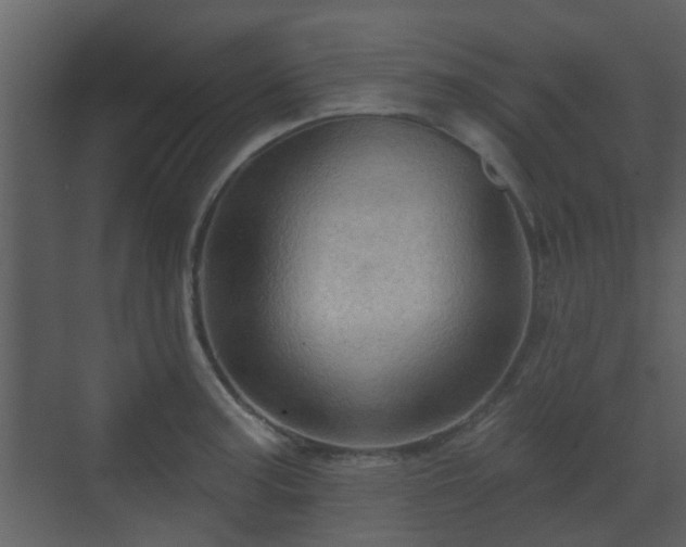 X0000070161187200605301251