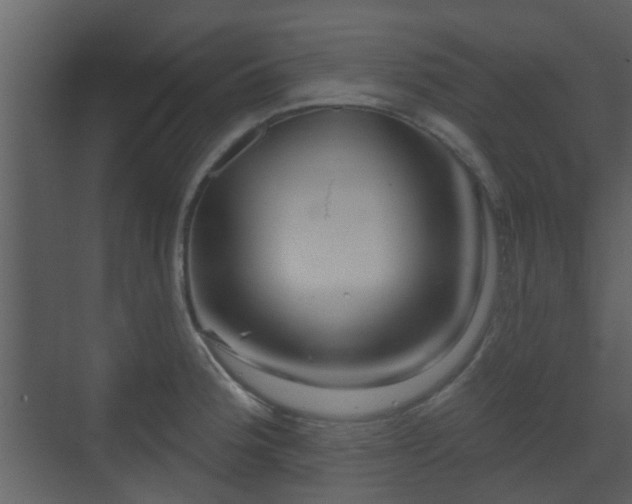 X0000070161188200605301251