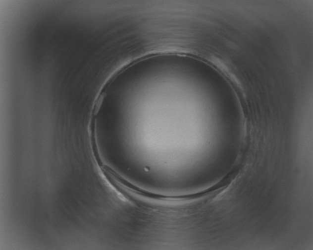 X0000070161189200605301251