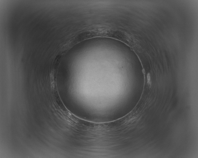 X0000070161203200605301250
