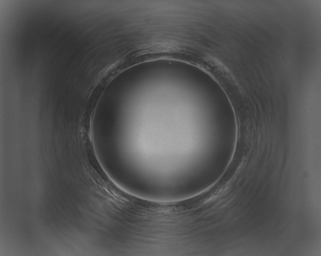 X0000070161210200605301251