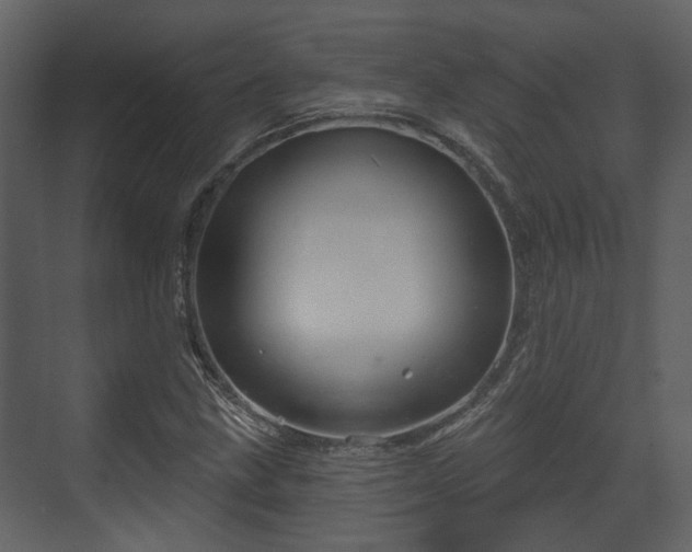 X0000070161211200605301251