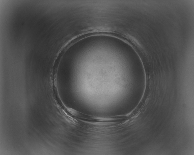X0000070161212200605301251