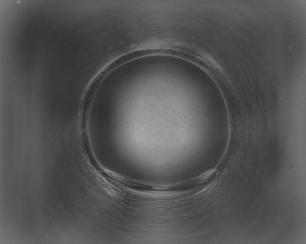 X0000070161216200605301251
