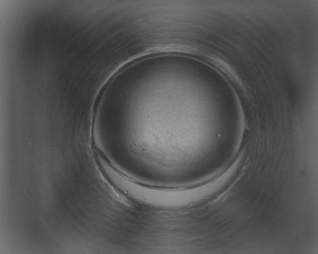 X0000070161228200605301251