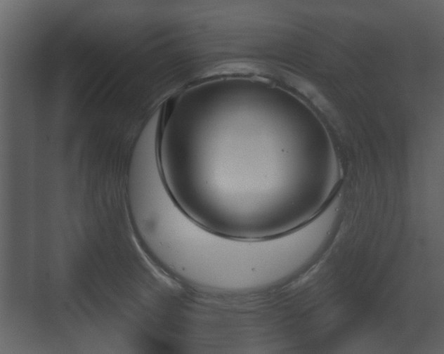 X0000070161233200605301251